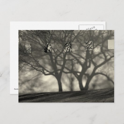 Metropolitan Shadows Briefkaart (Voorkant / Achterkant)