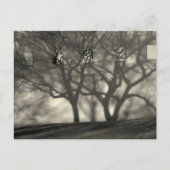 Metropolitan Shadows Briefkaart (Voorkant)