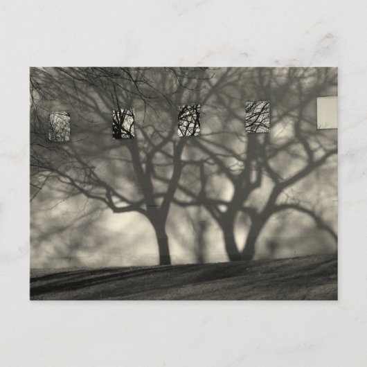 Metropolitan Shadows Briefkaart (Voorkant)