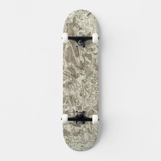 Metz Skateboard (Voorkant)