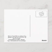 Meubelen Pony en Baby Briefkaart (Achterkant)