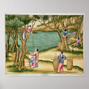 Meubelen verzamelen poster