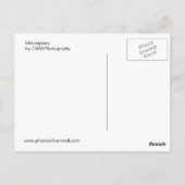 Mevagissey op Cornwall Briefkaart (Achterkant)