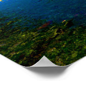 mevagissey poster (Hoek)