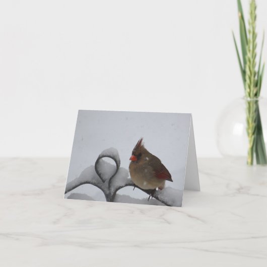 Mevr. Cardinal Notecard - Spatie binnen Kaart (Voorkant)