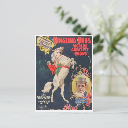 Mevrouw Ada Castello Briefkaart (Staand voorkant)