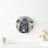 Mevrouw Barred Owl - OctoBox Nest Ronde Klok (Huis)