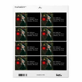 Mevrouw Claus Cookie Adresetiketten voor kerstmis Etiket (Full Sheet)