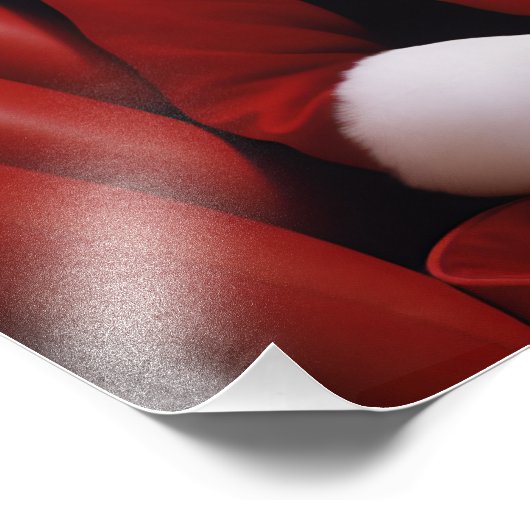  mevrouw Claus Foto Afdruk (Hoek)