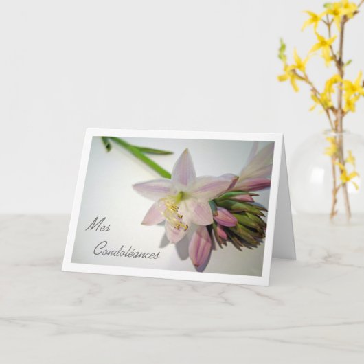 mevrouw condoléances , medeleven in het Frans , ho Kaart (Gele Bloem)