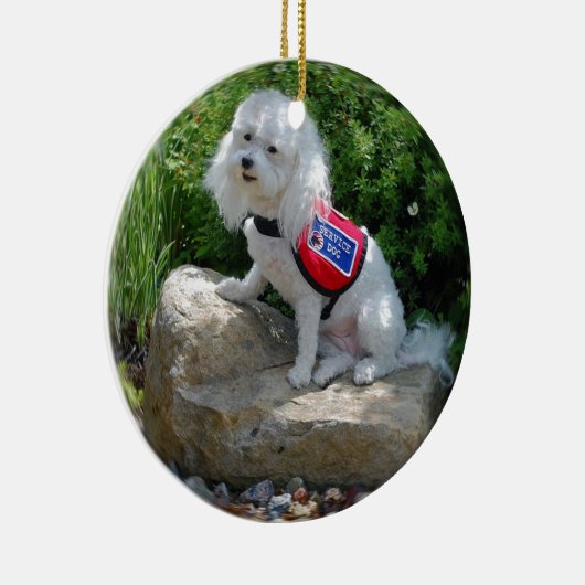 mevrouw Dolly MaltiPoo Keramisch Ornament (Rechts)