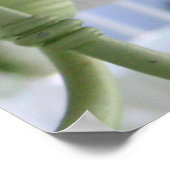 Mevrouw Dove Poster (Hoek)