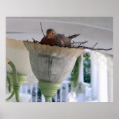 Mevrouw Dove Poster (Voorkant)