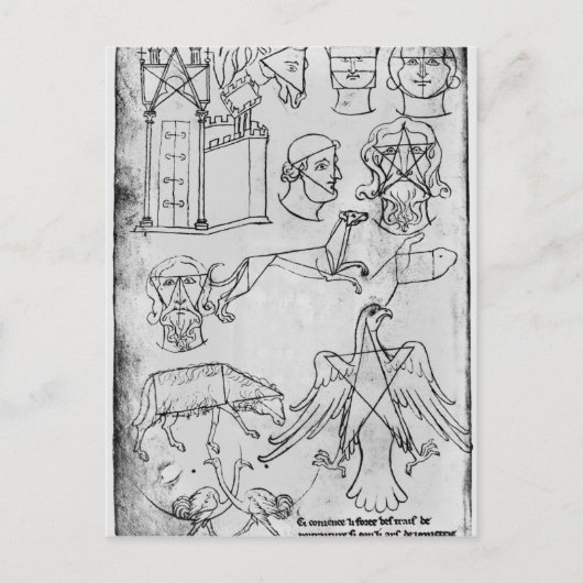 Mevrouw Fr 19093 fol.18v Verschillende tekeningen Briefkaart (Voorkant)