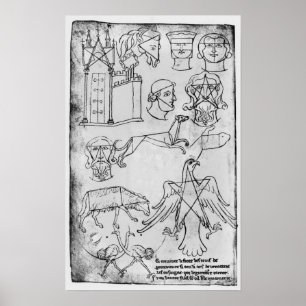 Mevrouw Fr 19093 fol.18v Verschillende tekeningen Poster