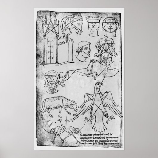 Mevrouw Fr 19093 fol.18v Verschillende tekeningen Poster (Voorkant)