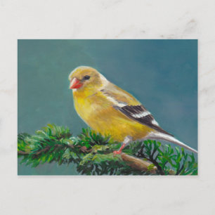 Mevrouw Goldfinch Bird Art Briefkaart