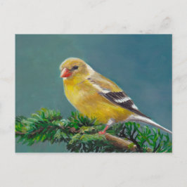 Mevrouw Goldfinch Bird Art Briefkaart