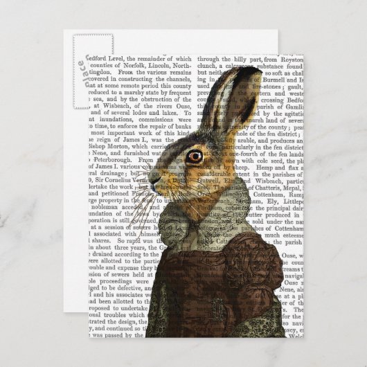 Mevrouw Hare Portrait Briefkaart (Voorkant / Achterkant)