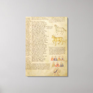 mevrouw Italien 87 fol.171 Pagina ter illustratie  Canvas Afdruk