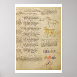 mevrouw Italien 87 fol.171 Pagina ter illustratie  Poster