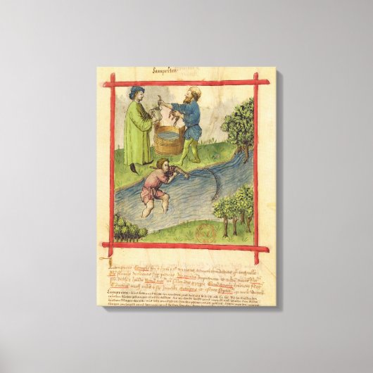 Mevrouw Lat 9333 f.82 Vist voor paling uit 'Tacuin Canvas Afdruk (Voorkant)