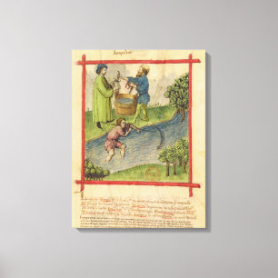 Mevrouw Lat 9333 f.82 Vist voor paling uit 'Tacuin Canvas Afdruk