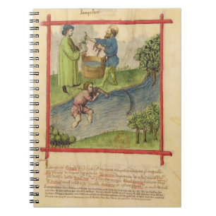 Mevrouw Lat 9333 f.82 Vist voor paling uit 'Tacuin Notitieboek