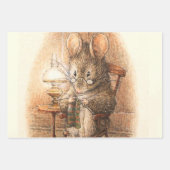 “ Mevrouw Muis Breidt” van Beatrix Potter Inpakpapier Vel (Voorkant)