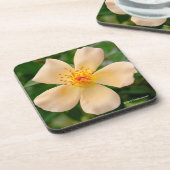 Mevrouw Oakley Fisher Roos Bier Onderzetter (Linkerzijde)