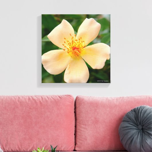 Mevrouw Oakley Fisher Roos Canvas Afdruk (Insitu (Woonkamer))