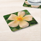 Mevrouw Oakley Fisher Roos Kartonnen Onderzetters (Schuin)