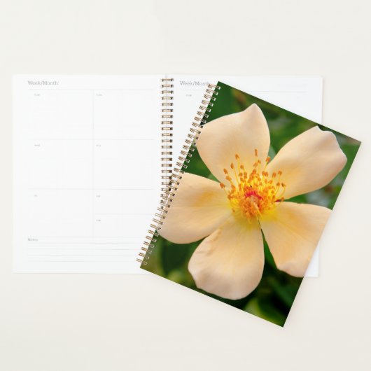 Mevrouw Oakley Fisher Roos Planner (Display)