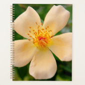 Mevrouw Oakley Fisher Roos Planner (Voorkant)