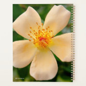 Mevrouw Oakley Fisher Roos Planner (Achterkant)