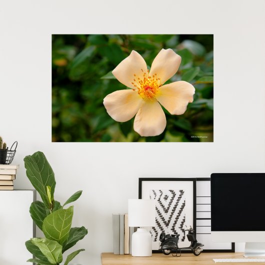 Mevrouw Oakley Fisher Roos Poster (Thuiskantoor)