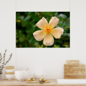 Mevrouw Oakley Fisher Roos Poster (Keuken)