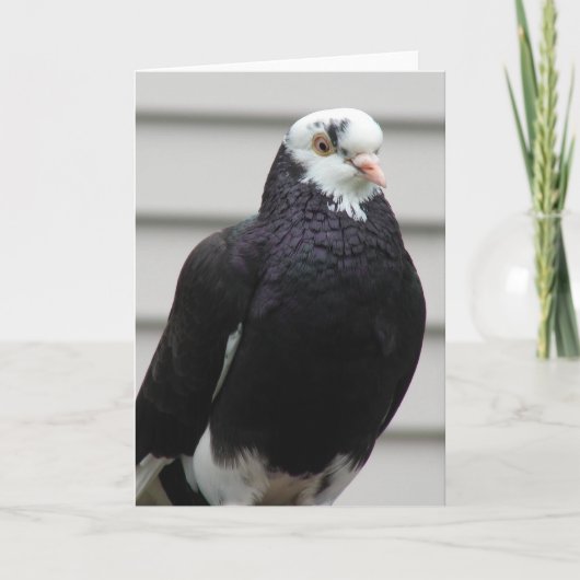 Mevrouw Pigeon Kaart (Voorkant)