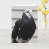 Mevrouw Pigeon Kaart (Gele Bloem)