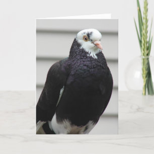 Mevrouw Pigeon Kaart