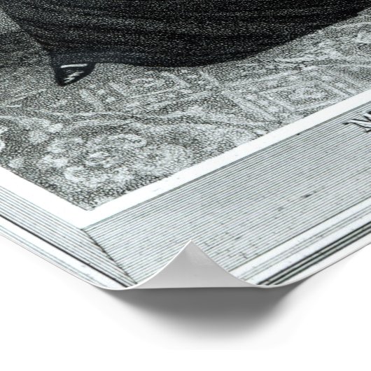 Mevrouw Rachel Jackson Poster (Hoek)