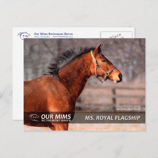 Mevrouw Royal Flagship briefkaart (Voorkant / Achterkant)