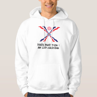 MEVROUW THATS JUIST CUZIN I AM 100% ASSYRIAN HOODIE