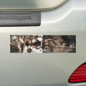 mevrouw Velouria Graves BUMPERSTICKER (Op auto)