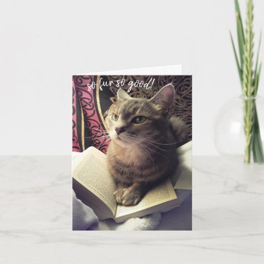 Mew heeft het gedaan! Cat Pun Studeren Afstuderen  Bedankkaart (Voorkant)