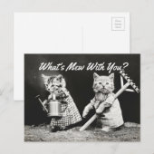 Mew Kittens Briefkaart (Voorkant / Achterkant)