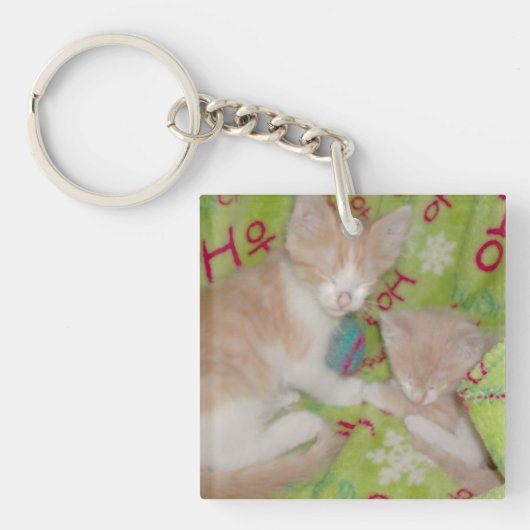 Mewkat 12 dubbelzijdig acrylhoudend Sleutelhanger (Voorkant)