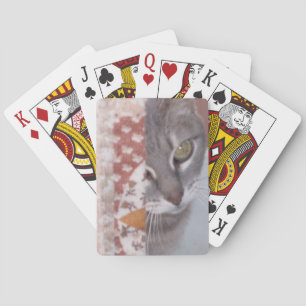 Mewkat 13-speelkaarten speelkaarten