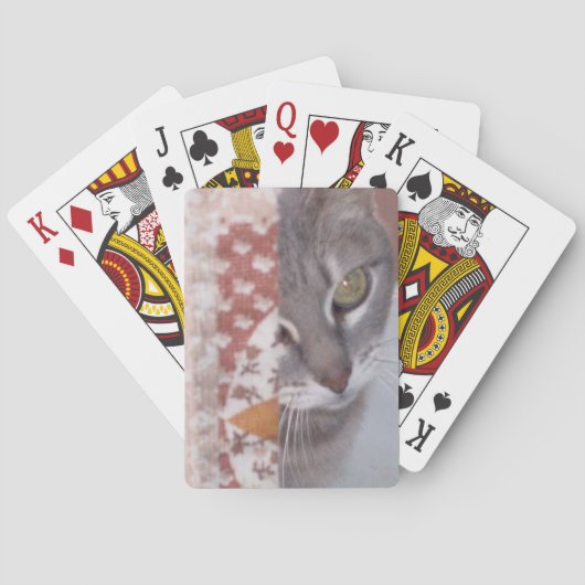 Mewkat 13-speelkaarten speelkaarten (Achterkant)