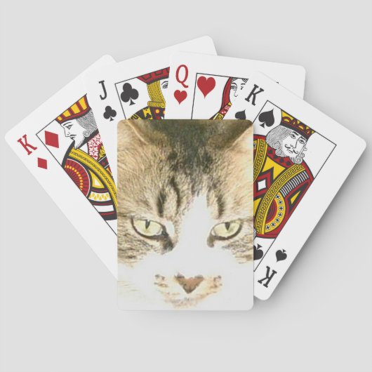Mewkat 14-speelkaarten speelkaarten (Achterkant)